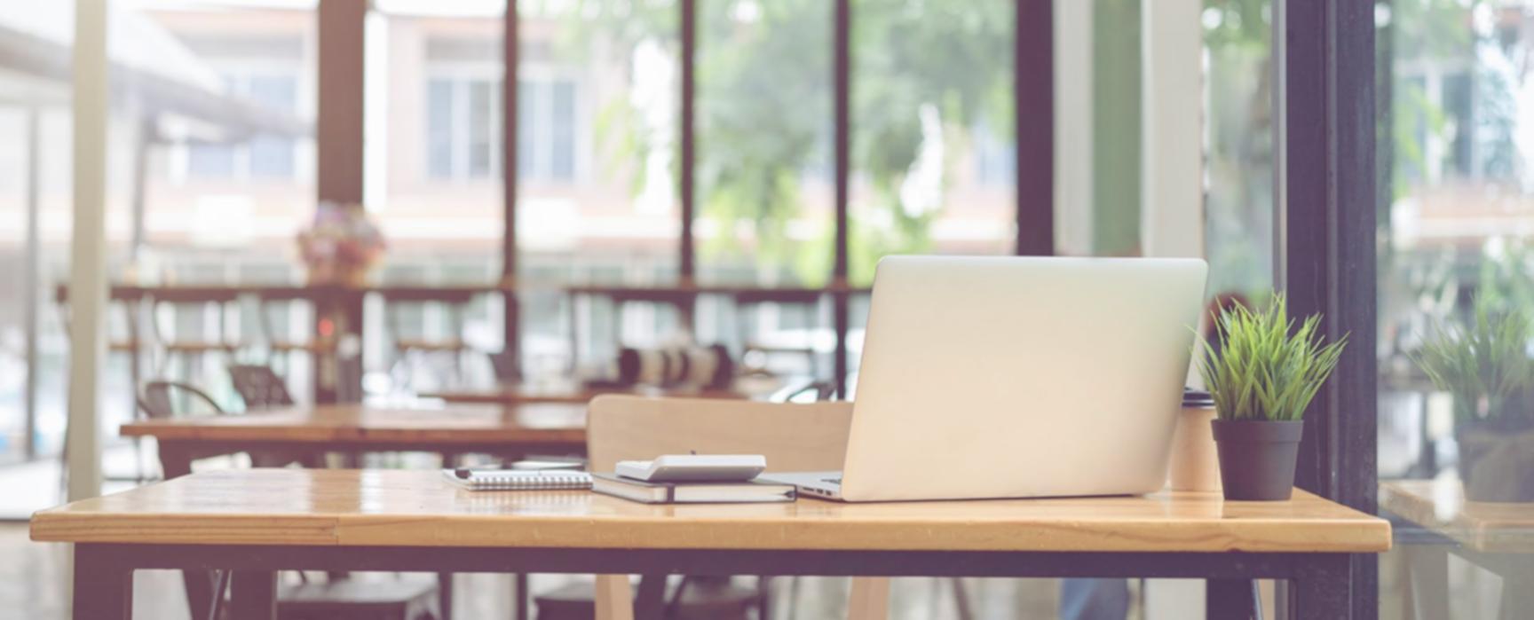 Rezultate concrete ale participanților la program